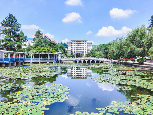 QQ图片20210507144529 QQ图片20210507144529