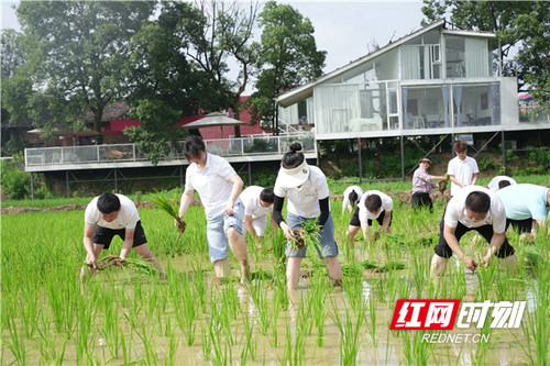 微信图片_202306141214021.jpg 微信图片_202306141214021.jpg