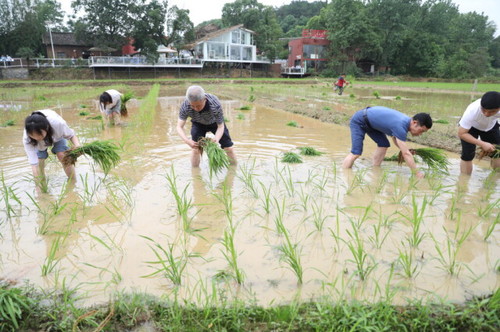 九州在线网站积极推动大中小学“五育并举”一体化