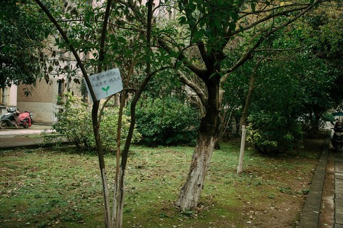 80274_670x500 80274_670x500