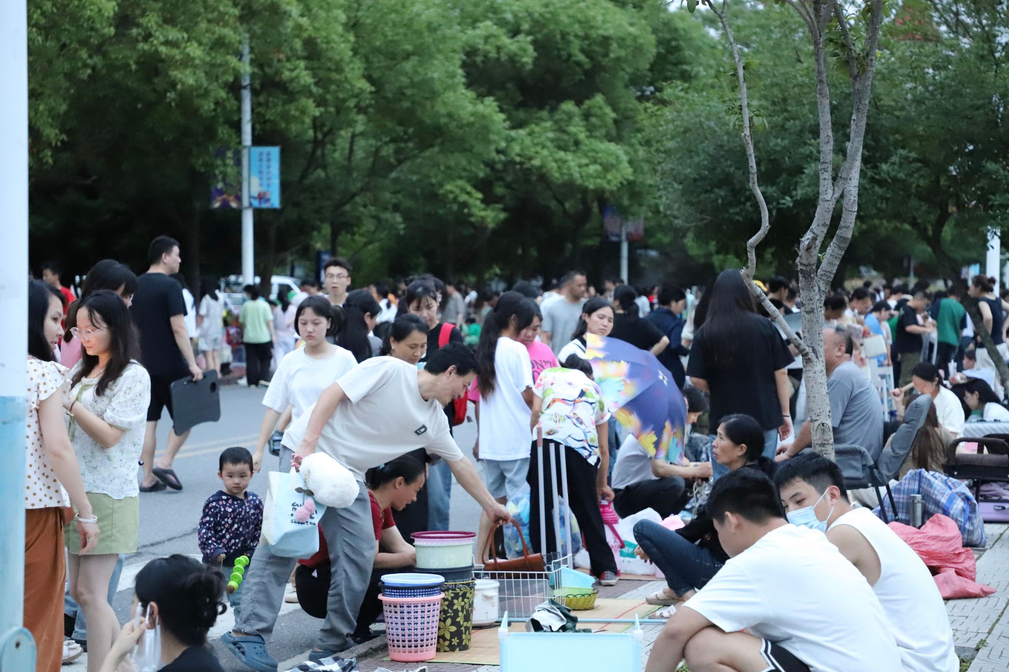 跳蚤1.jpg 跳蚤1.jpg