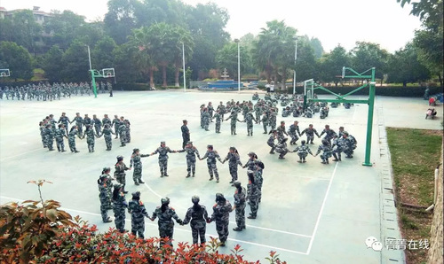 mmexport1537162327745