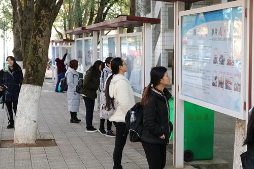 观看实习展2 观看实习展2