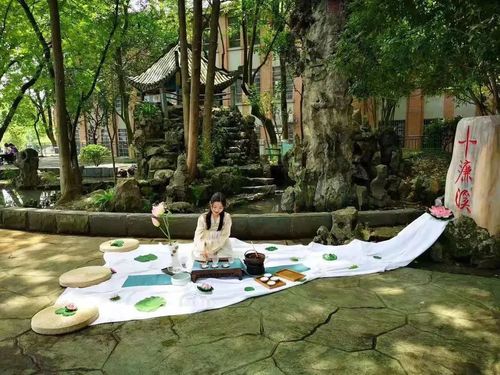 微信图片_20220627194334 微信图片_20220627194334