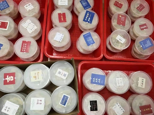 QQ图片20201222085231 QQ图片20201222085231